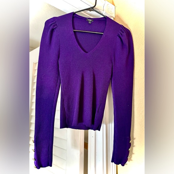 Express Sweaters - Express Bodycon Purple V-Neck Sweater with Gold Buttons